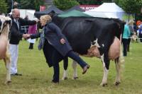 Jane Steel awarding Priestland 5235 PS James Rose Interbreed Dairy Champion