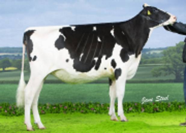 PRIESTLAND 6135 SOLOMON AMBROSIA VG89