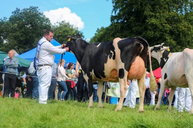 PRIESTLAND 7074 LEGEND CHARLOTTE VG88