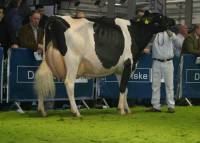 Priestland 4934 Goldwyn Ambrosia