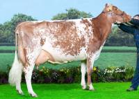 Marleycote Princess Jill 31 EX93